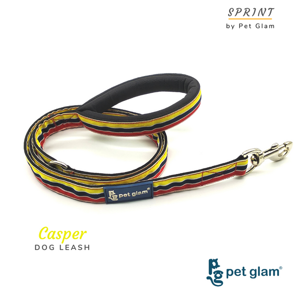 Dog Leash CASPER-for Small Medium Large Dogs-with Padded Handle-5 Ft Long 1 inch Wide