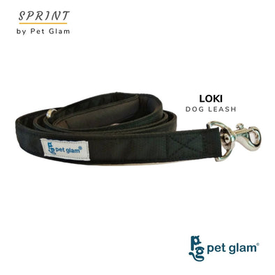 Pet Glam-Leash For Big Dogs Loki-Padded Handle-Heavy Duty Hardware-5 Ft Long 1 inch Wide
