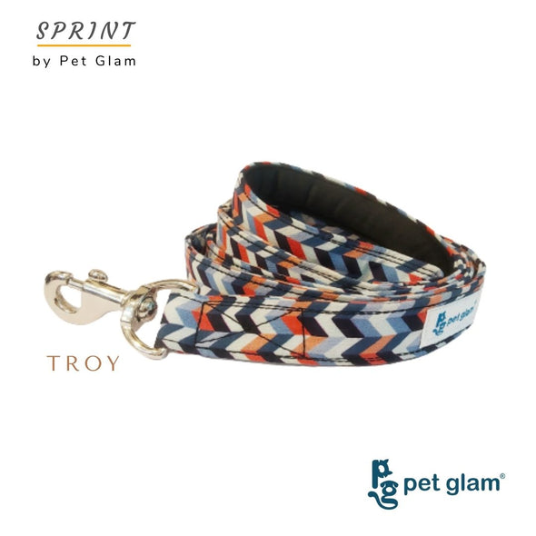 Pet Glam-Dog Leash Troy-with Padded Handle-Heavy Duty Hardware-5 Ft Long 1 inch Wide-Sprint