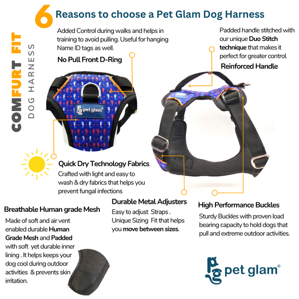 Pet Glam Dog Harness AQUA