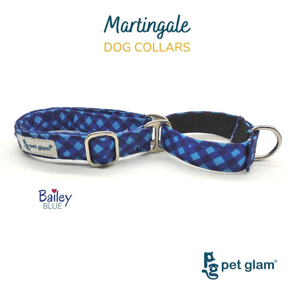 Martingale Dog Collar-BAILEY BLUE