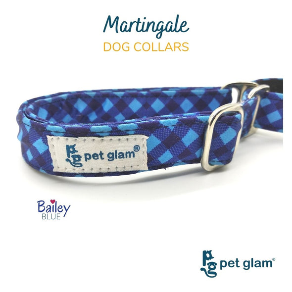 Martingale Dog Collar-BAILEY BLUE