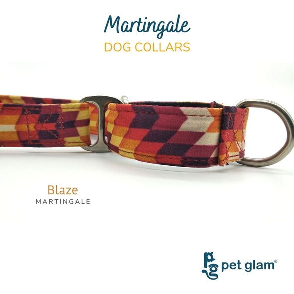 Martingale Dog Collar-BLAZE