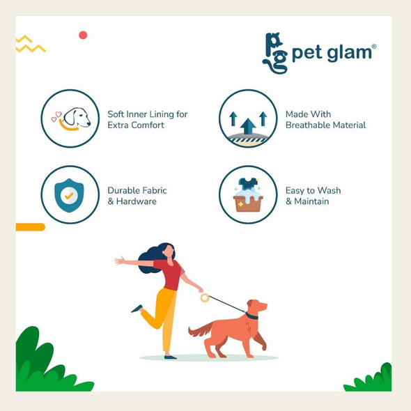 Pet Glam-Bravo-Dog Collar for Small-Medium Large Dogs