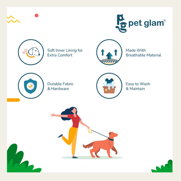 Pet Glam-Collar for Dogs-Aqu-Beagles Shish tzu Labrador-GSD, Terriers Lhasa