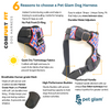 Dog Harness Freedom