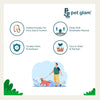 Pet Glam-Dog Leash JOEY-Walking Leash for Dogs