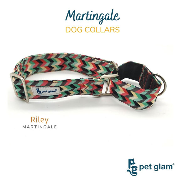 Martingale Dog Collar-RILEY