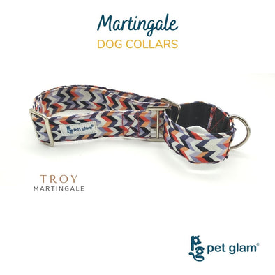 Martingale Dog Collar-TROY