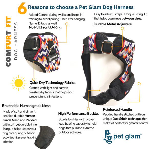 Pet Glam-Troy Dog Harness