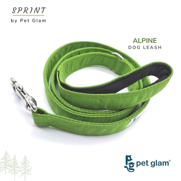 Pet Glam-Sprint Dog Leash ALPINE-with Padded Handle-Heavy Duty Hardware-5 Ft Long 1 inch Wide
