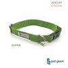 Pet Glam-Dog Collar-Alpine for Beagles Shish tzu Labrador