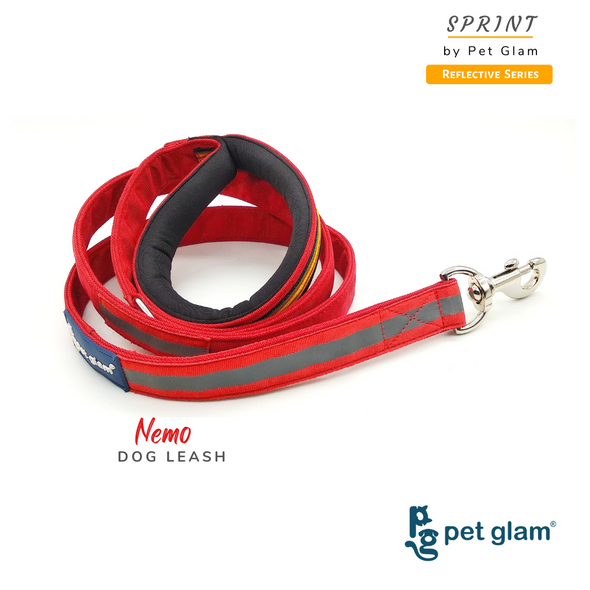 Reflective Dog Leash NEMO- Soft padded handle Leash for dogs 5ft Long