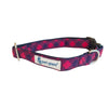 Bailey-Dog Collar For Beagles, Lhasa, Labs, Retrievers