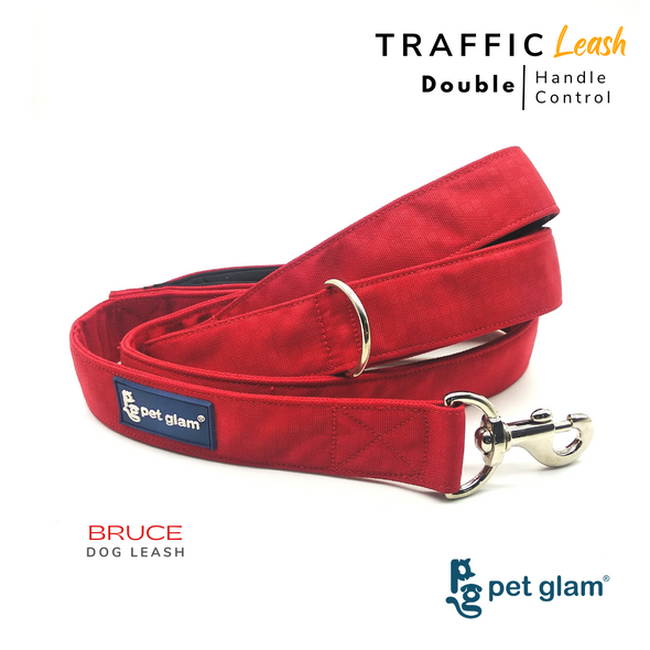 Pet Glam Traffic Dog Leash BRUCE with Padded Handle-Heavy Duty Hardware-5 Ft Long X-Large 1.5 inch Wide