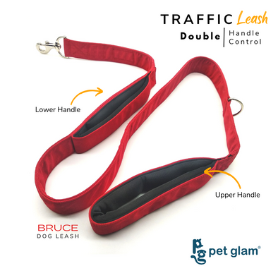 Pet Glam Traffic Dog Leash BRUCE with Padded Handle-Heavy Duty Hardware-5 Ft Long X-Large 1.5 inch Wide