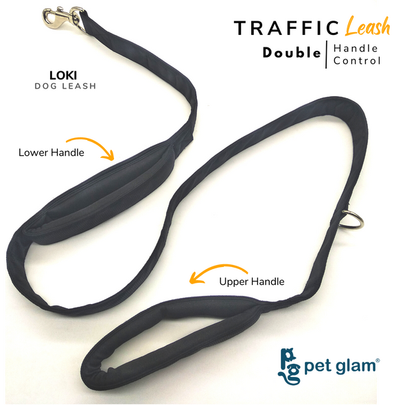 Pet Glam Traffic Dog Leash LOKI with Padded Handle-Heavy Duty Hardware-5 Ft Long X-Large 1.5 inch Wide