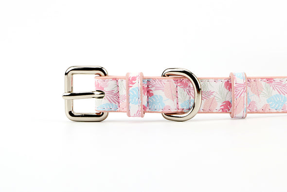 Daisy Fresh-Love Bands-Matching Collars for Pets & Wrist Bands for Humans